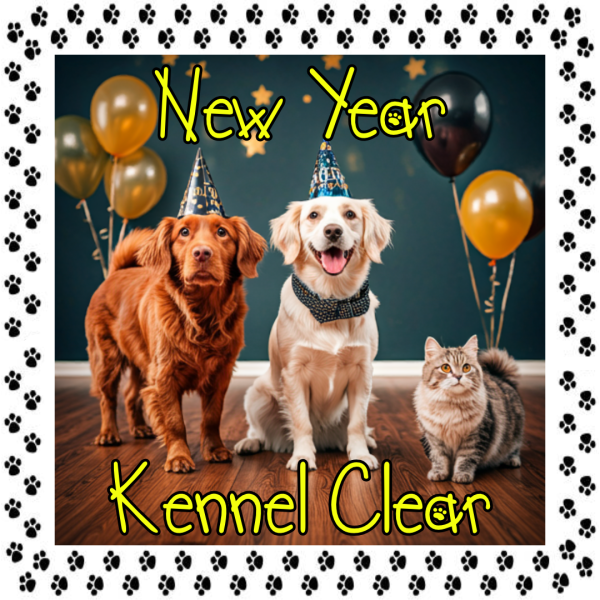 New Year Kennel Clear